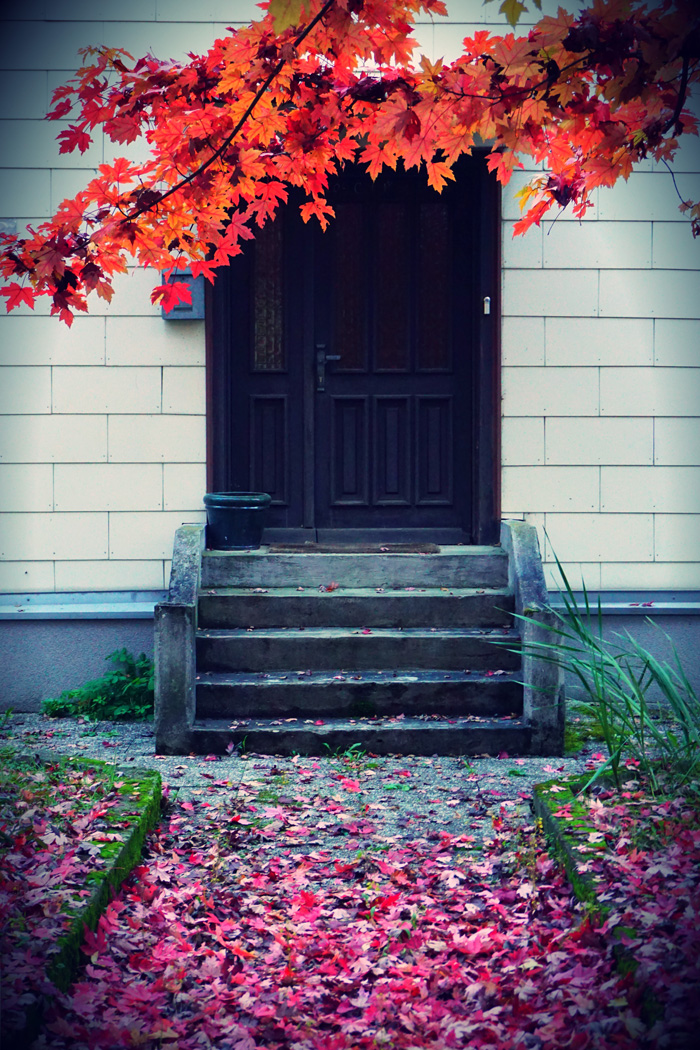 Fotografisch durch die Jahreszeiten Herbst 12