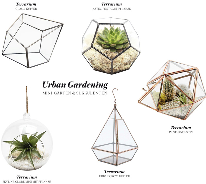 Terrarium fuer Sukkulenten Urban Gardening 3