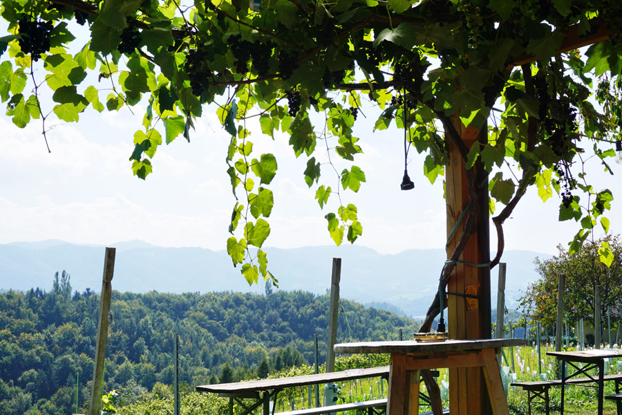 Buschenschank Empfehlung Suedsteiermark Reschkeller Weinbau Zeck 12