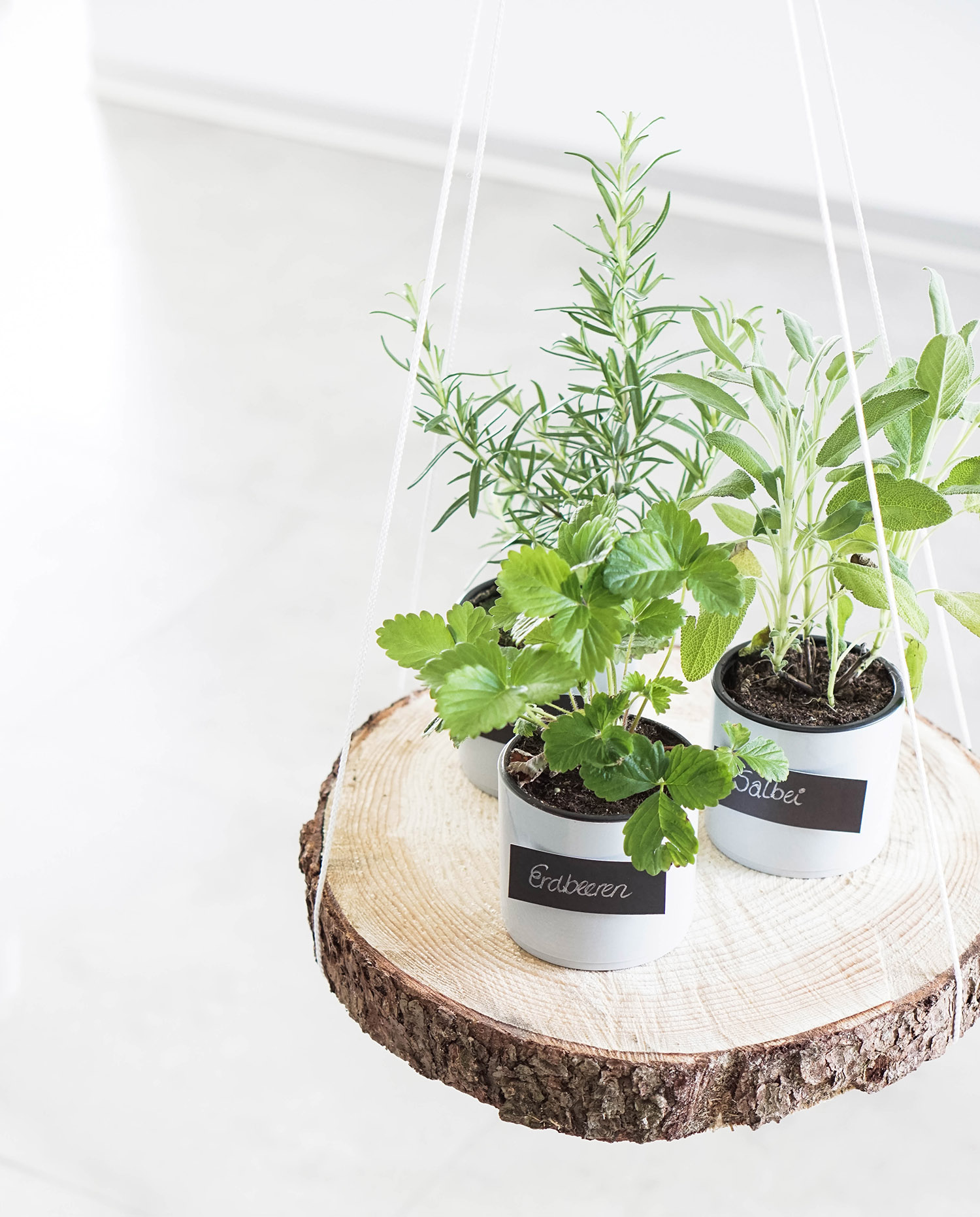 DIY: Kräuter-Blumenampel selber machen