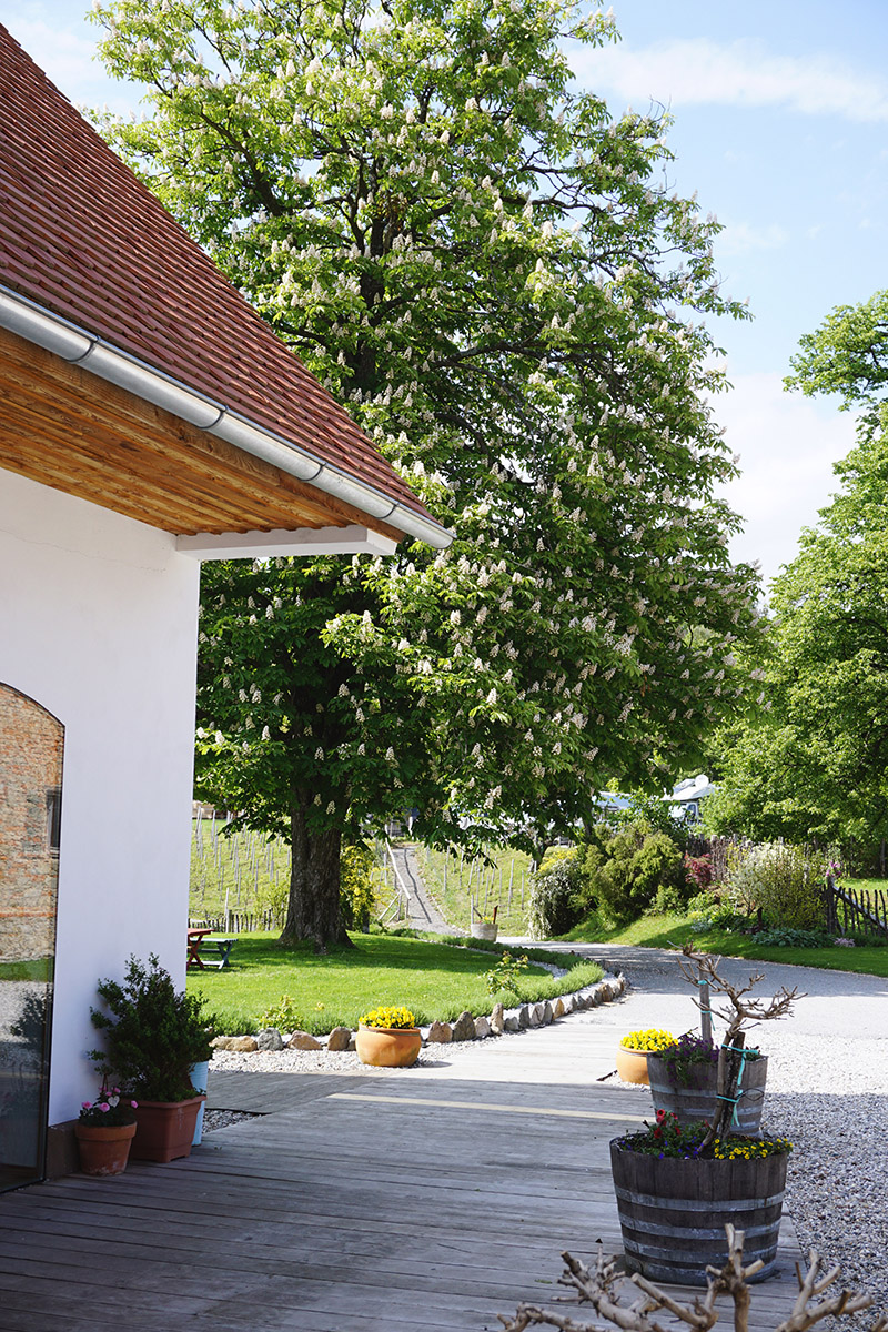 In 18 Brettljausn durch die Südsteiermark: Buschenschank Weingut oberGuess Schlossberg – Südsteirische Weinstraße