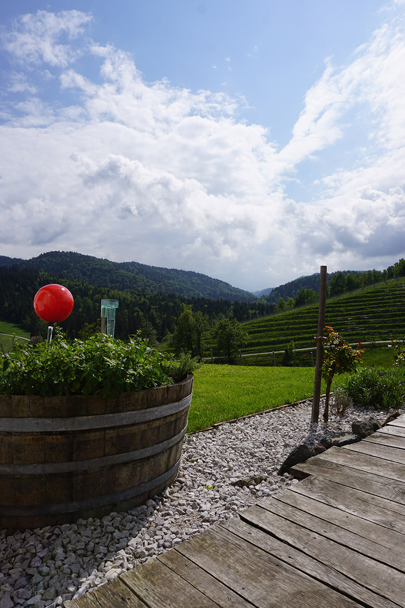 In 18 Brettljausn durch die Südsteiermark: Buschenschank Weingut oberGuess Schlossberg – Südsteirische Weinstraße
