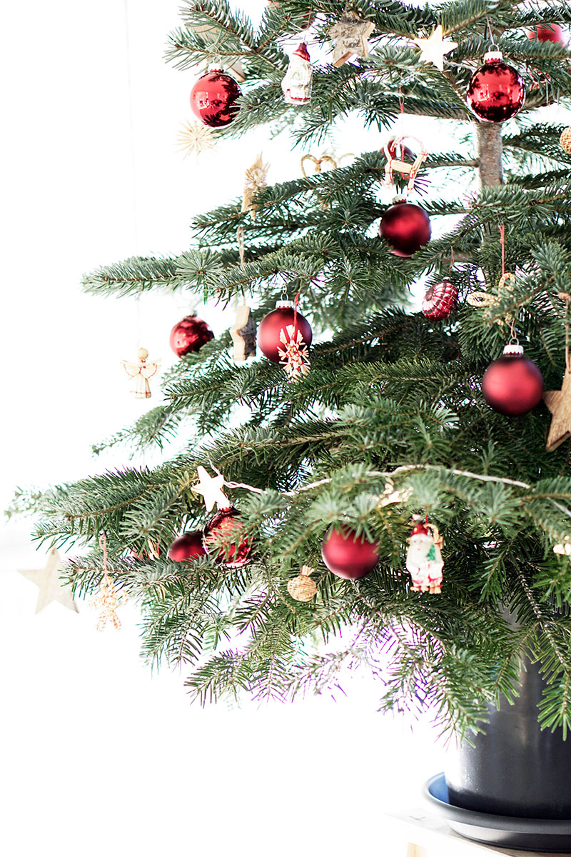 Christbaum mieten für nachhaltige Weihnachten