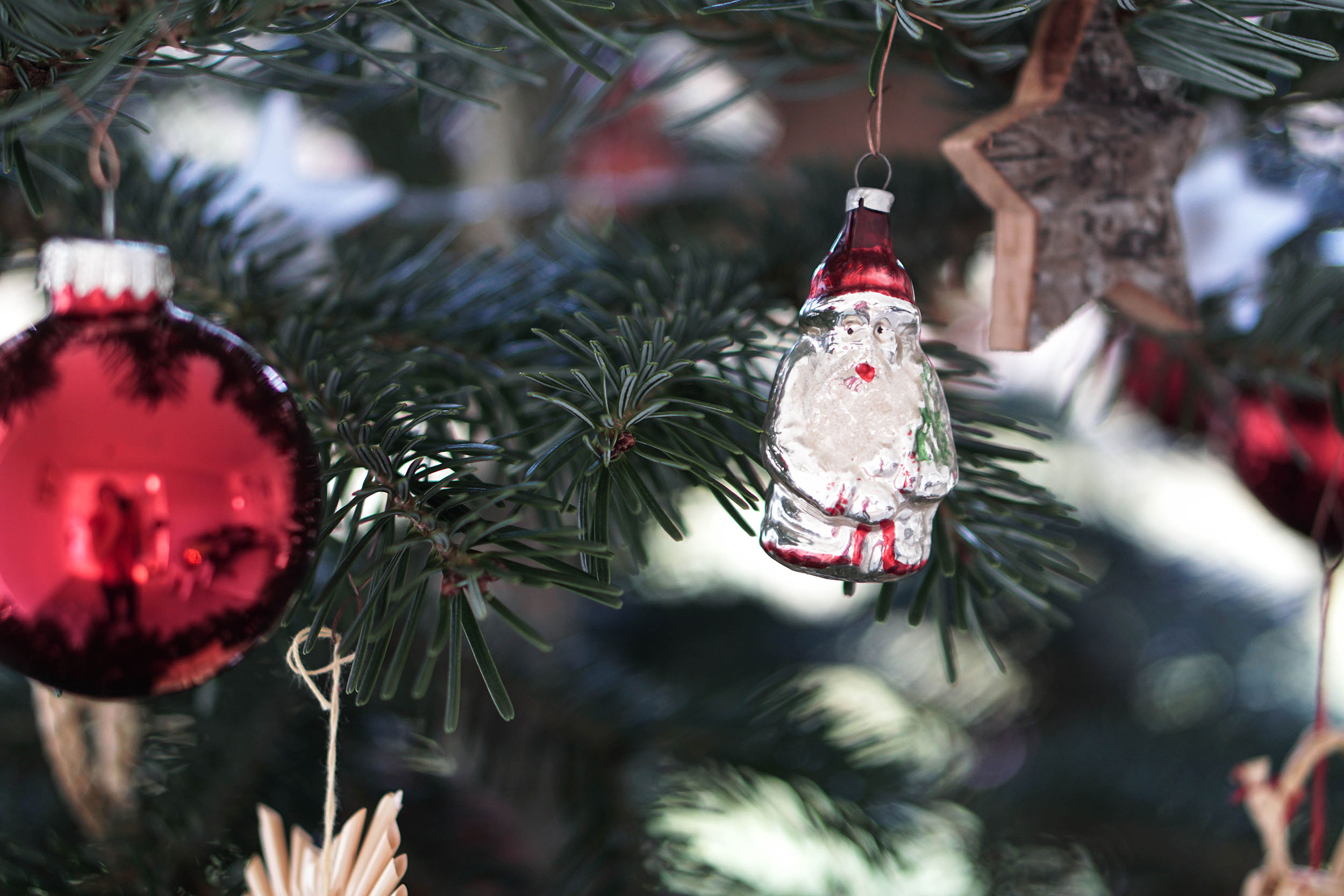 Christbaum mieten für nachhaltige Weihnachten