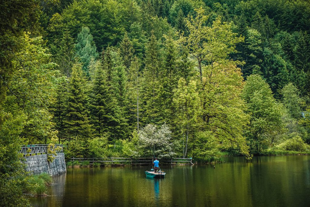 Retreat in der Natur Bewusst genießen in Bad Ischl