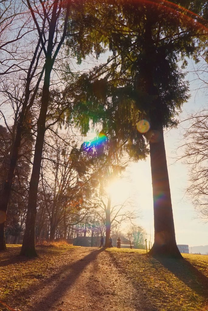 Waldbaden in der Natur im Hotel Miraverde in Bad Hall