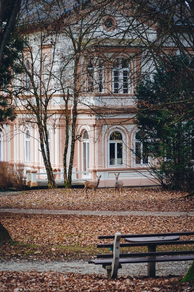 Waldbaden und ganzheitliche Wellness in der Natur im Hotel Miraverde in Bad Hall