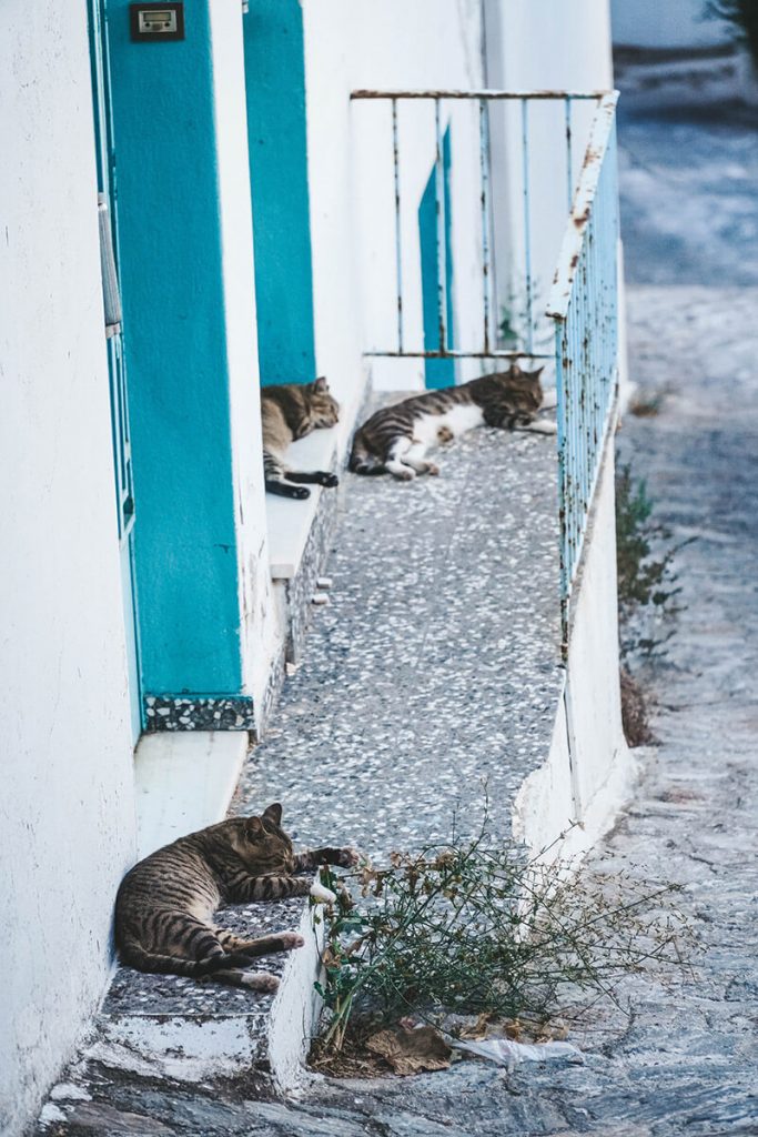 Griechenland Geheimtipp Skopelos Insel